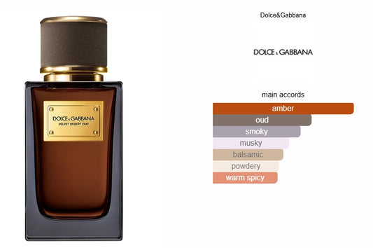 Velvet Desert Oud Dolce&Gabbana for women and men