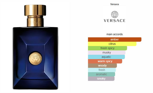 Versace Pour Homme Dylan Blue Versace for men